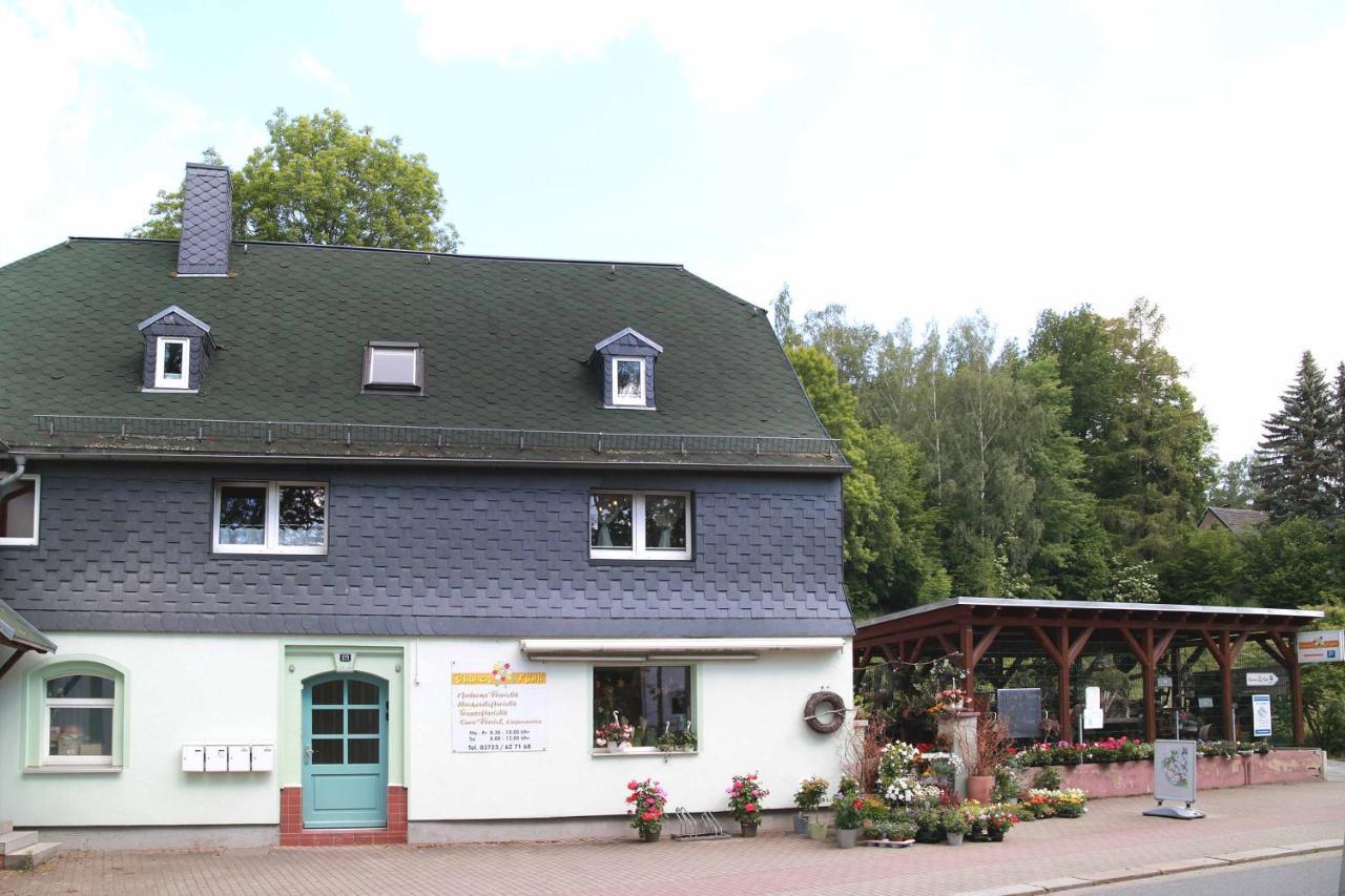 Fewo -Schiefe- Marie Oberlungwitz Exterior photo